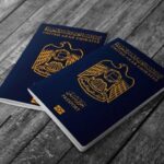 Dubai 30-Day Visa: Application Process and Tips