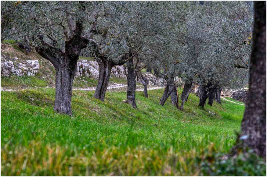 along the Adriatic coast of Salento